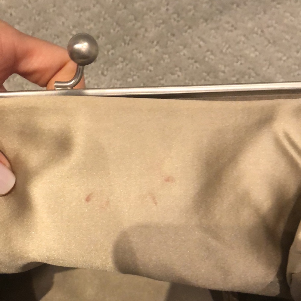 Authentic Devi Kroell Python Clutch - image 5